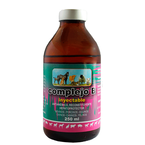 COMPLEJO B - Imagen 4