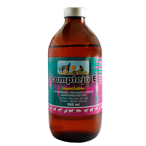 COMPLEJO B - Imagen 5