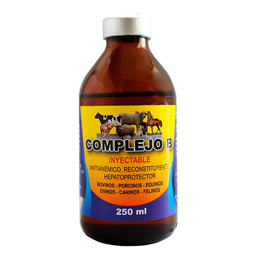 COMPLEJO B R - Imagen 3