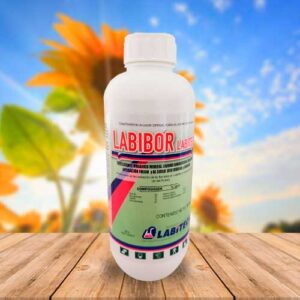 LABIBOR