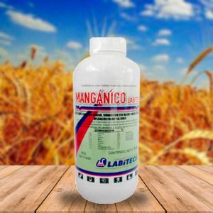 MANGÁNICO