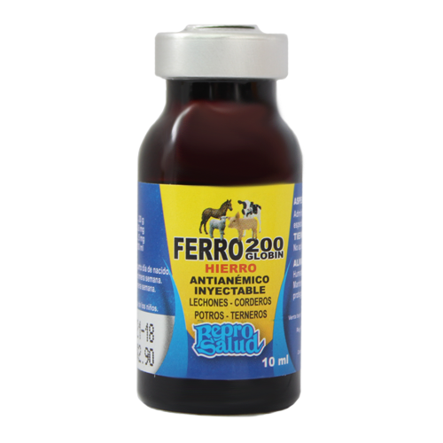 FERRO GLOBIN 200 R - Imagen 3